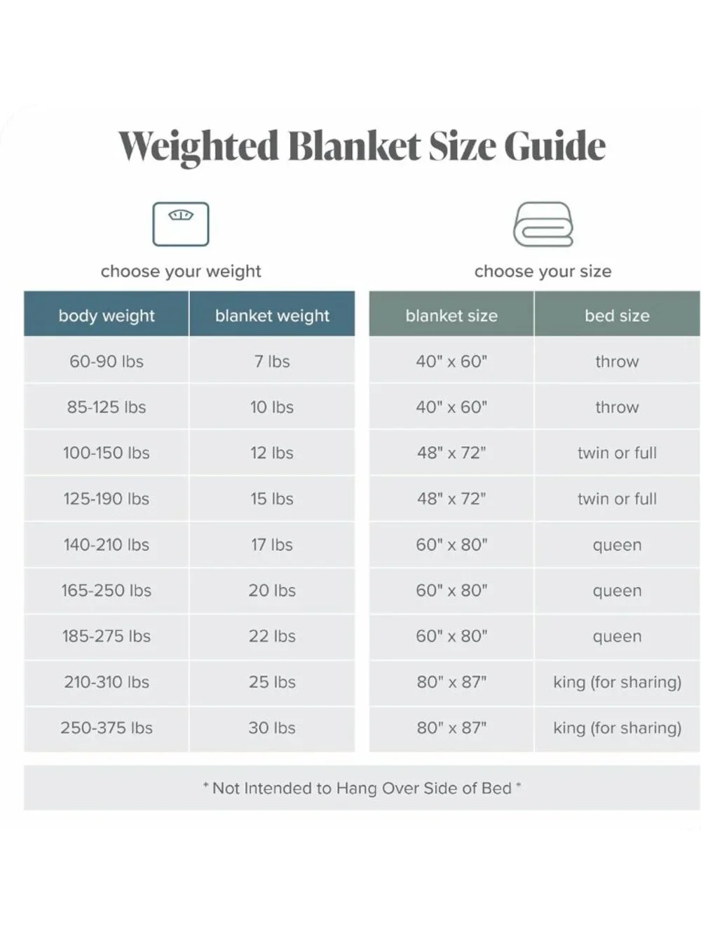 Cozy Light Grey Minky Fleece Weighted Blanket 80